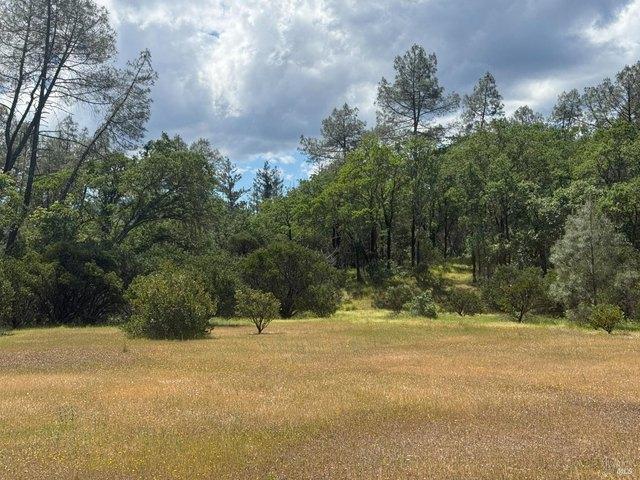 Land for sale in Geyserville, California