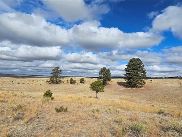 Land for sale in Agate, Colorado