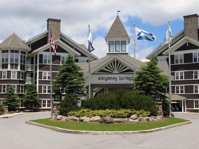 Condo for sale in Snowshoe, West Virginia