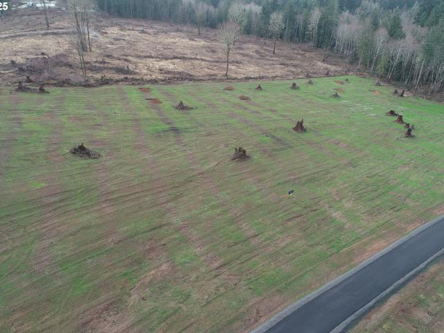 Land for sale in Castle Rock, Washington