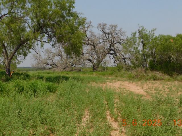 Land for sale in Texas