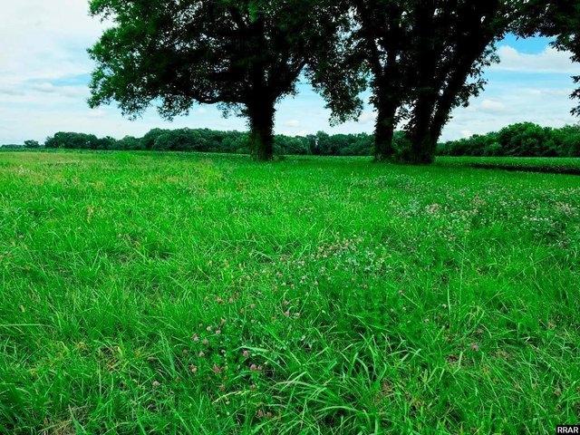 Land for sale in Tennessee