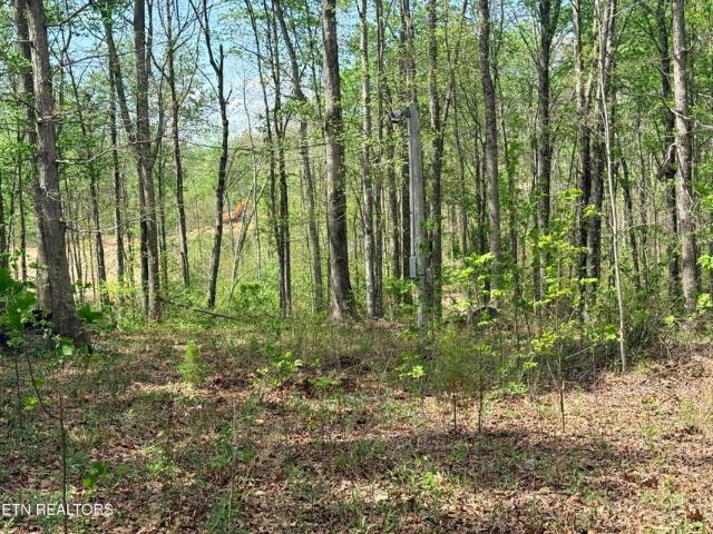 Land for sale in Tennessee