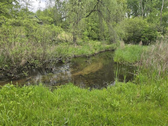 House for sale in Michigan Center