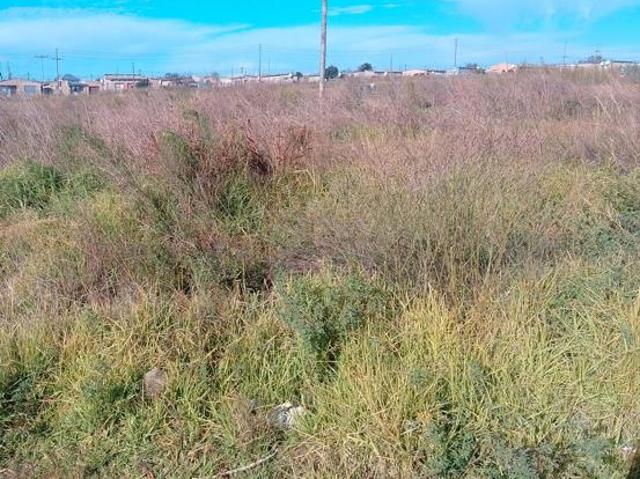 Land for sale in Rosendal, Free State