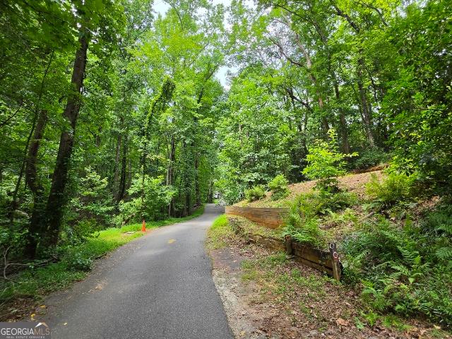Land for sale in Cleveland, Georgia
