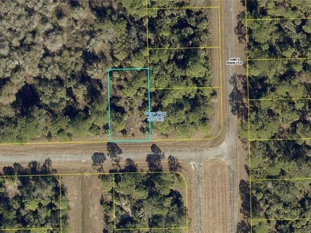 Land for sale in Labelle, Florida