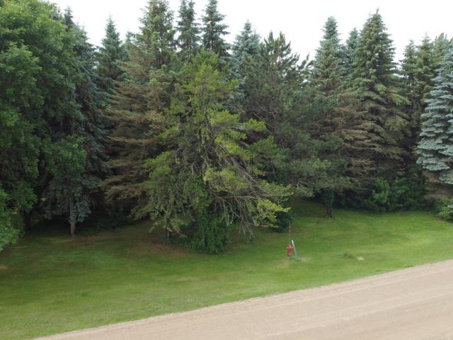 Land for sale in Ottertail, Minnesota