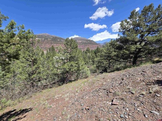 Land for sale in Ridgway, Colorado