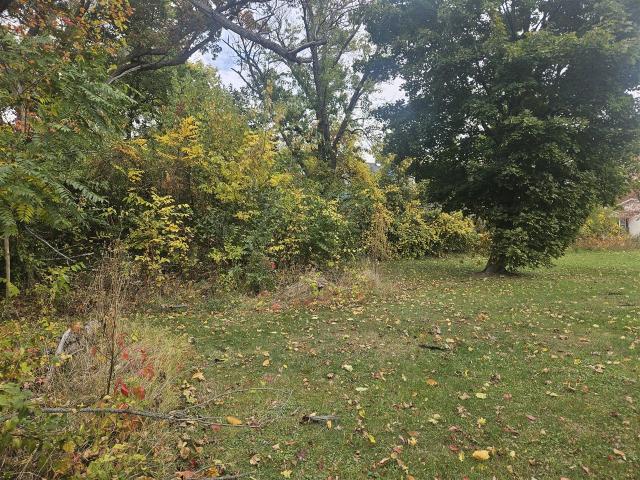 Land for sale in Michigan