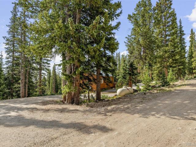 House for sale in Fairplay