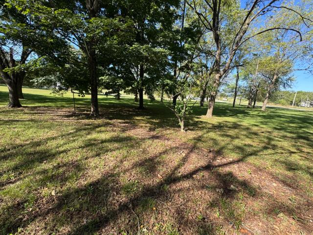 House for sale in Dadeville, Missouri
