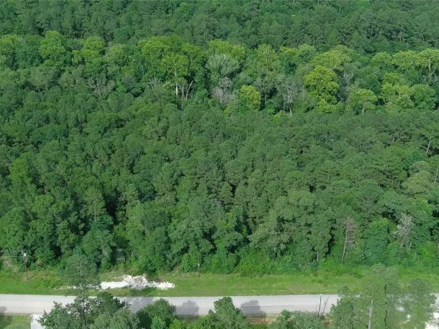 Land for sale in Walker, Texas