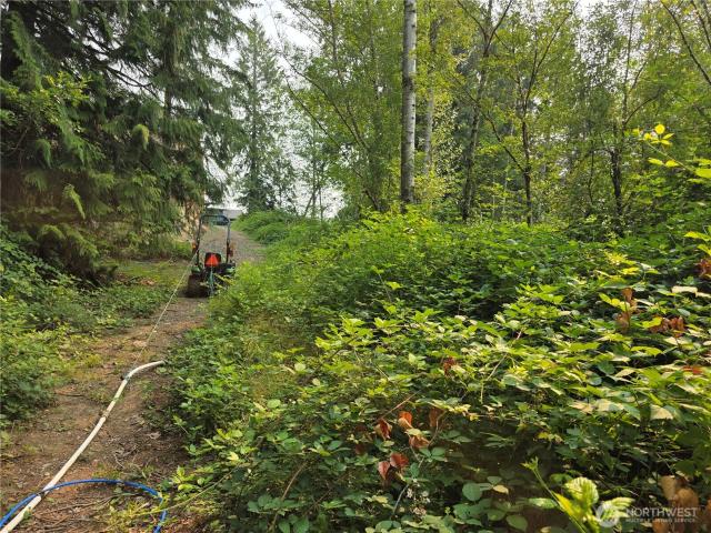 Land for sale in Monroe, Washington