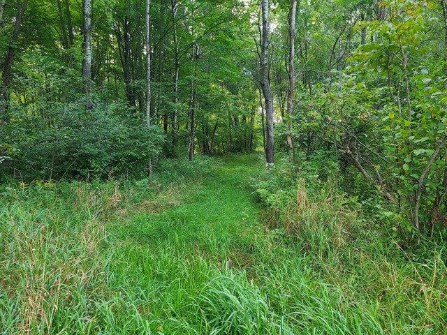 Land for sale in Marathon, Wisconsin