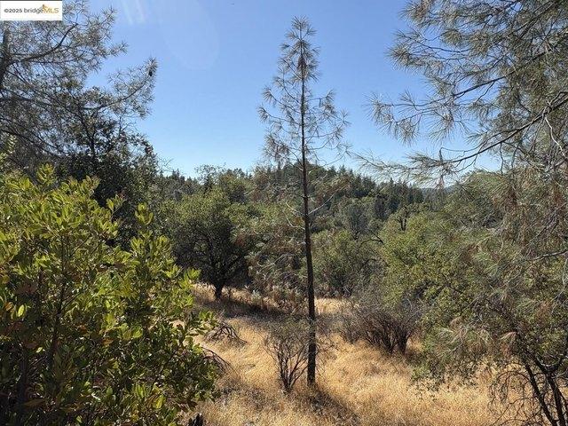 Land for sale in Murphys, California