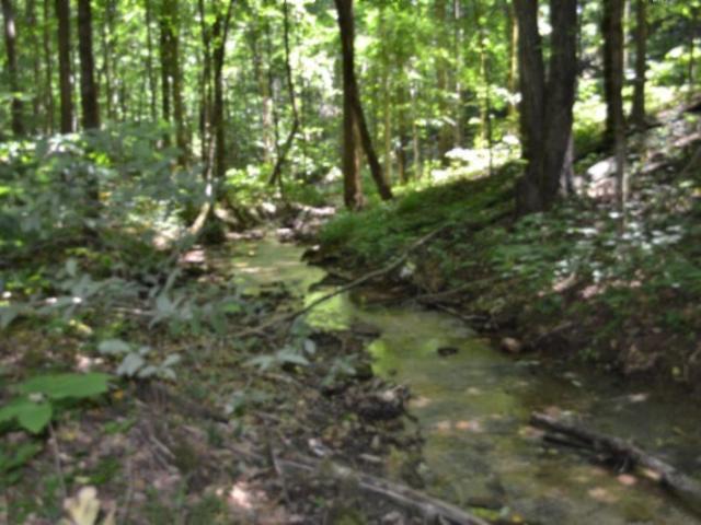 Land for sale in Tennessee