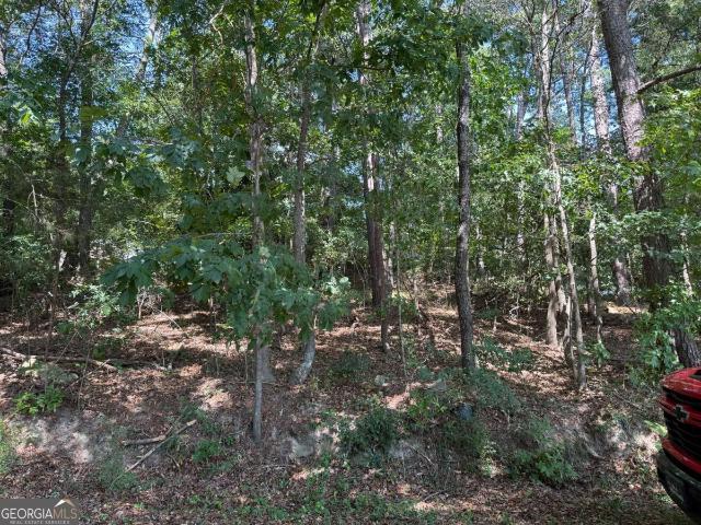 Land for sale in Conyers, Georgia