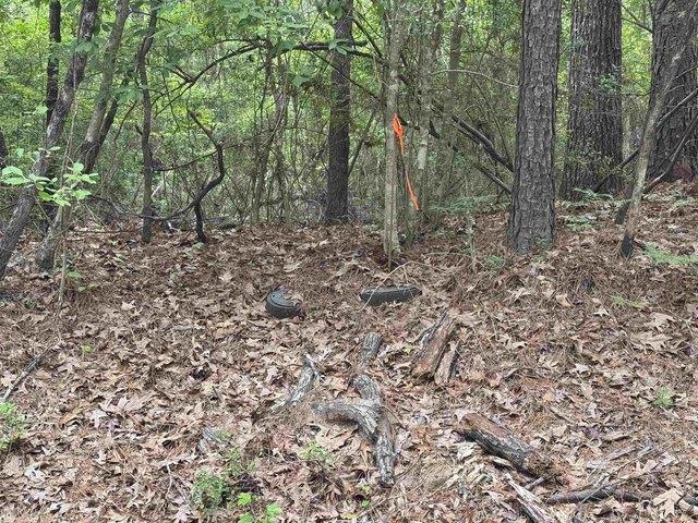 Land for sale in Sabine, Texas
