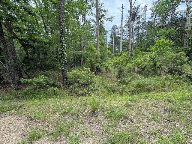Land for sale in Sabine, Texas