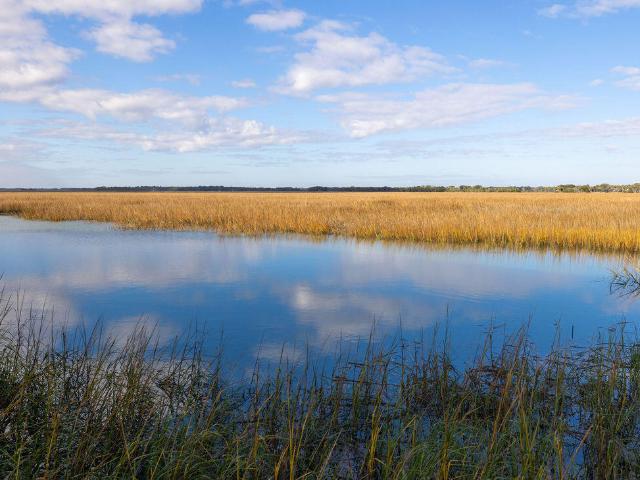 Condo for sale in Folly Beach, South Carolina
