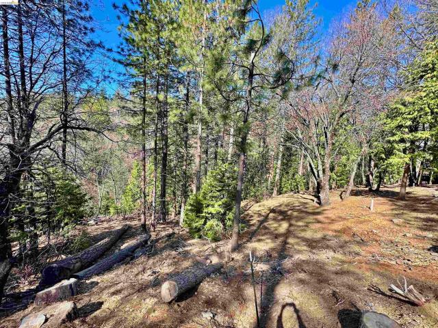 Land for sale in Sonora, California