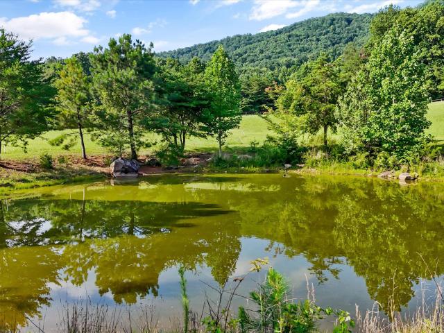 Land for sale in Tennessee
