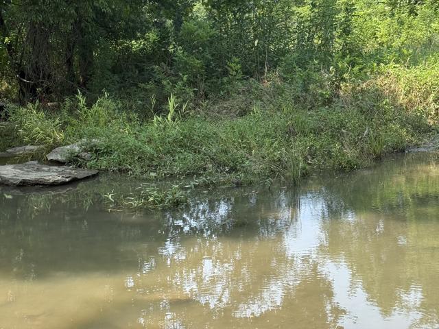 Land for sale in Tennessee