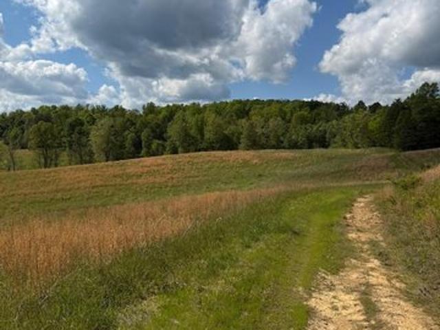 Land for sale in Elliott, Kentucky