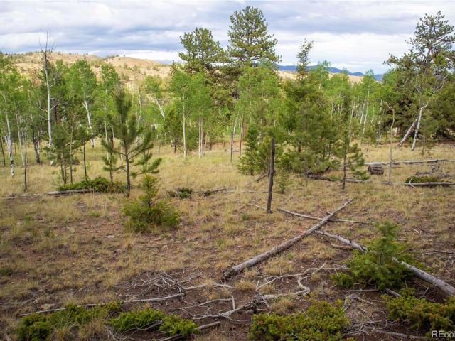 Land for sale in Hartsel, Park County