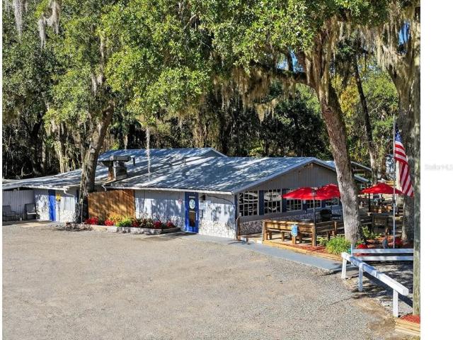 Property for sale in Lake Panasoffkee, Florida