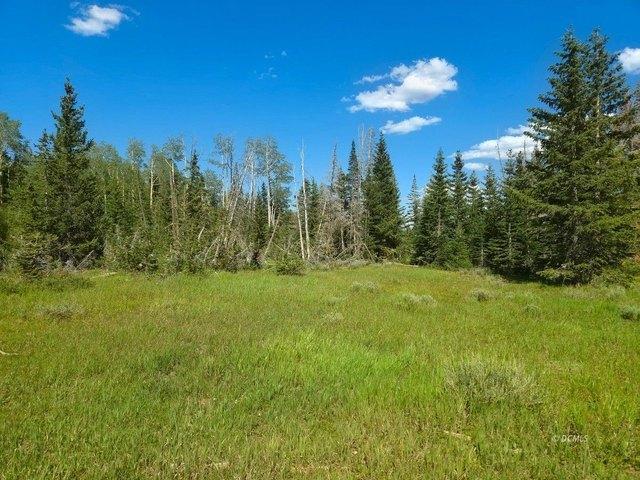 Land for sale in Brian Head, Utah