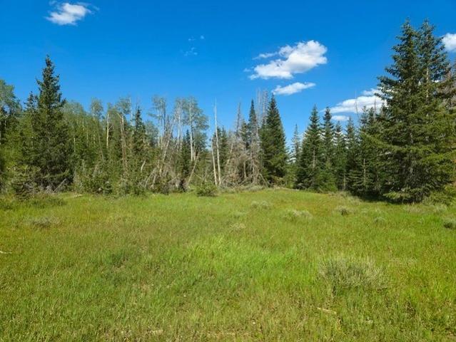 Land for sale in Brian Head, Utah