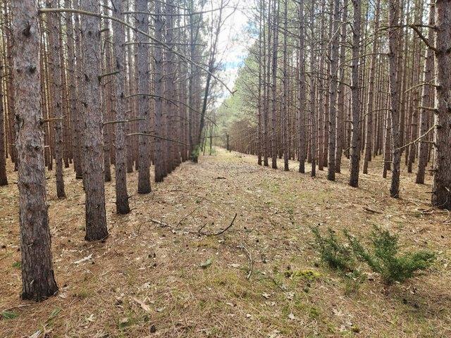 Land for sale in Manistee, Michigan