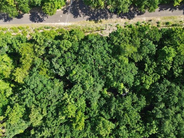 Land for sale in Ben Wheeler, Texas
