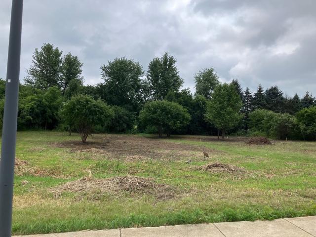 Land for sale in Grayslake, Illinois