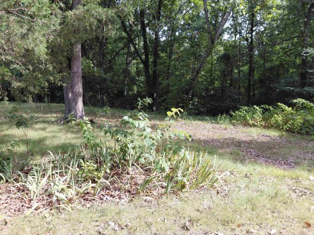 Land for sale in Ark