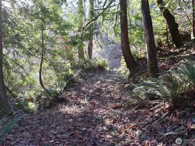 Land for sale in Maple Valley, Washington
