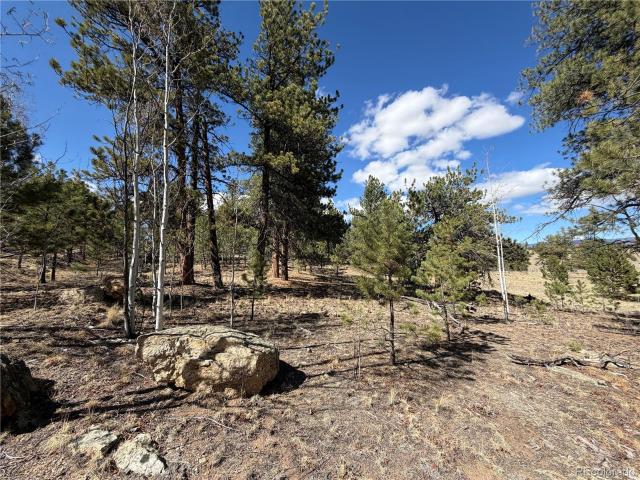 Land for sale in Hartsel, Colorado