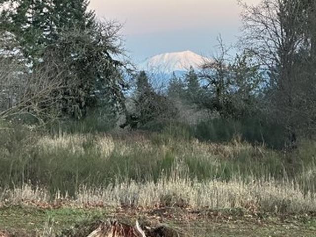 Land for sale in Castle Rock, Washington