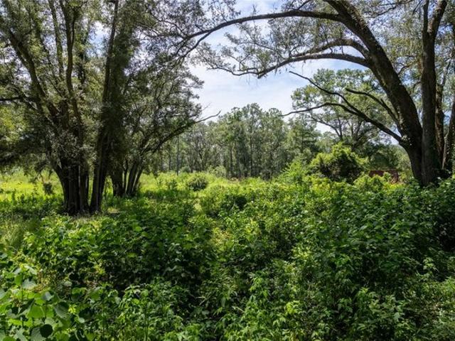 Land for sale in Fort White, Columbia County