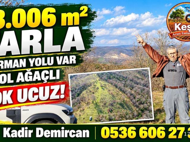 Göloba, Balya içerisinde satılık Arsa