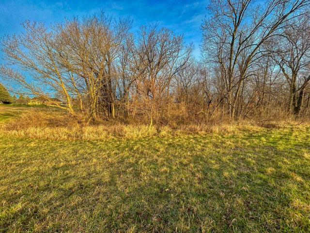 Land for sale in Illinois