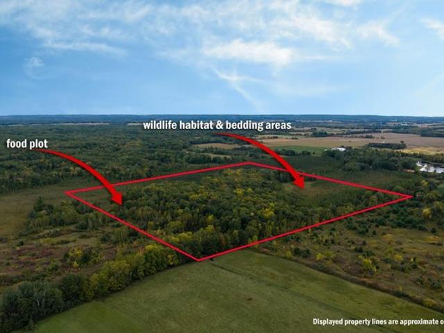 Land for sale in Rice Lake, Wisconsin