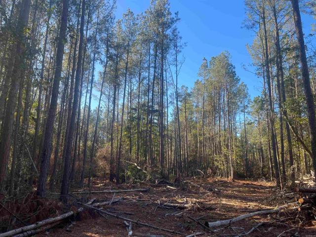 Land for sale in Ark