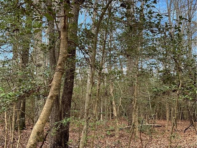 Land for sale in Virginia