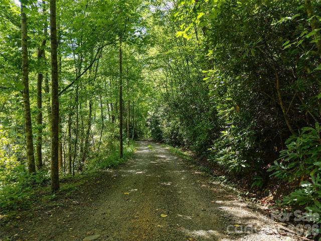 Land for sale in Fairview, North Carolina