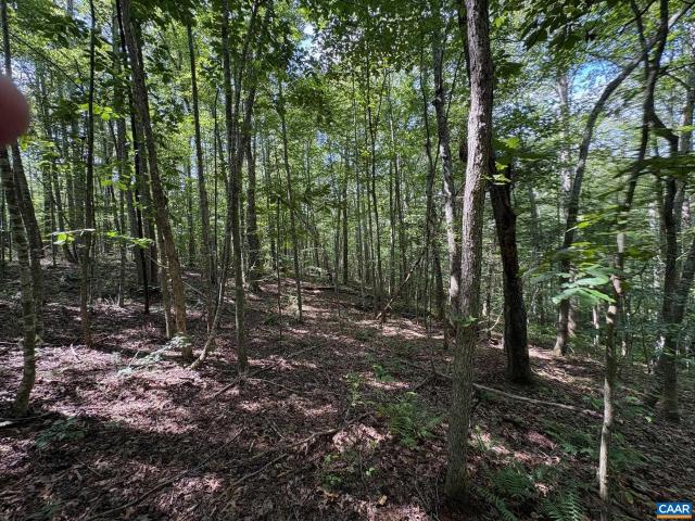 Land for sale in Virginia