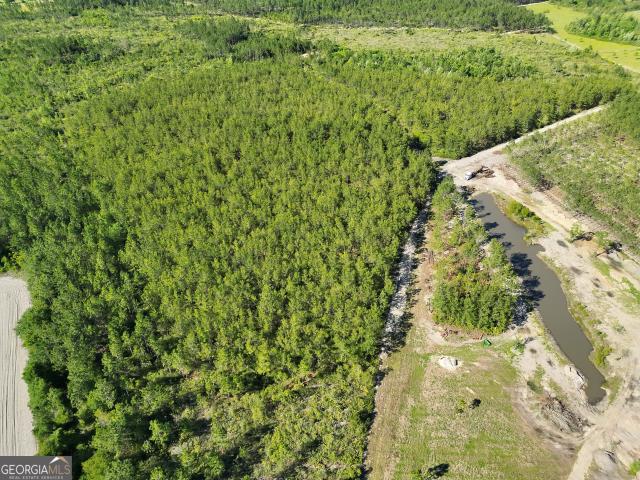Land for sale in Waycross, Georgia