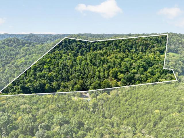 Land for sale in Haydenburg, Gainesboro